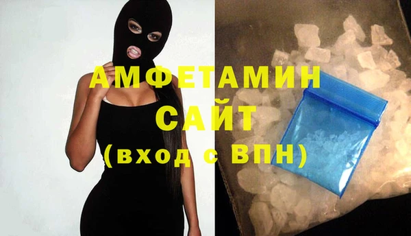 индика Зеленодольск