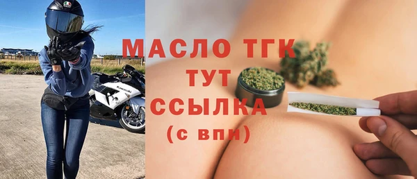 индика Зеленодольск