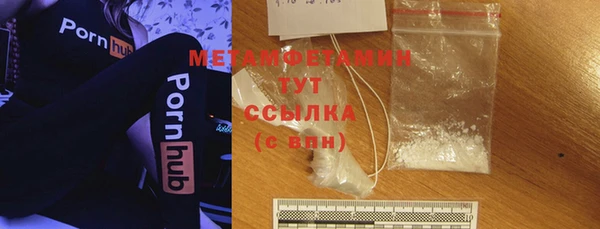 индика Зеленодольск