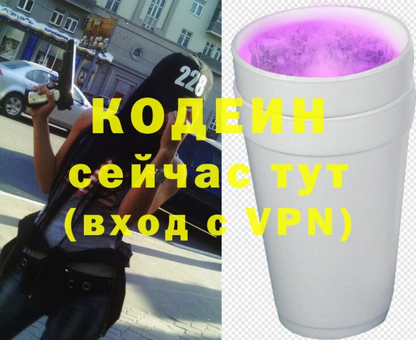 индика Зеленодольск