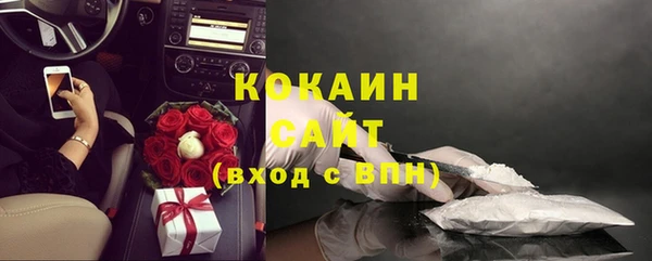 индика Зеленодольск