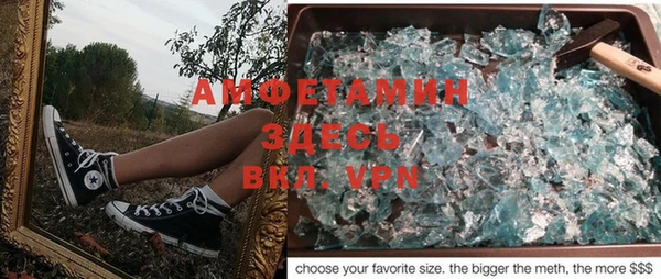 индика Зеленодольск