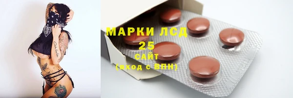 индика Зеленодольск