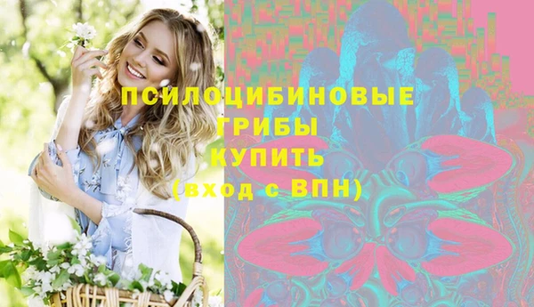 эйфоретик Зеленокумск