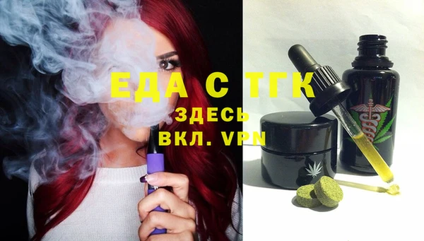 индика Зеленодольск