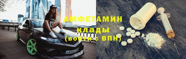 индика Зеленодольск