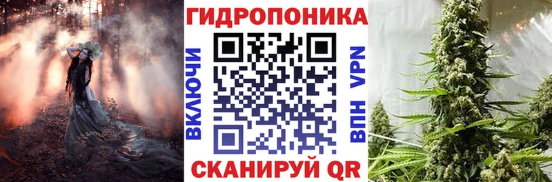 Шишки марихуана THC 21%  Купить закладки  Приморск 